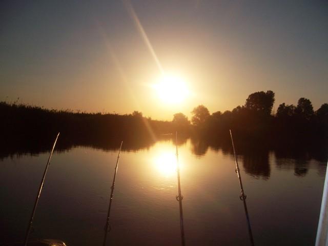 delta rosu 2010 - sany0764.JPG